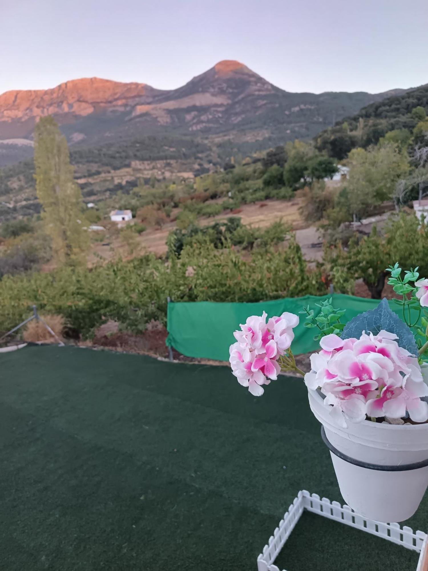 Los Cabales Torres  Dış mekan fotoğraf